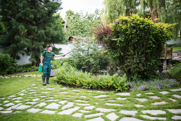 Trusted Howey In The Hills, FL Pest Control Experts