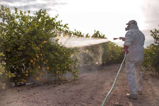 Best Flea Control Services  in Howey In The Hills, FL