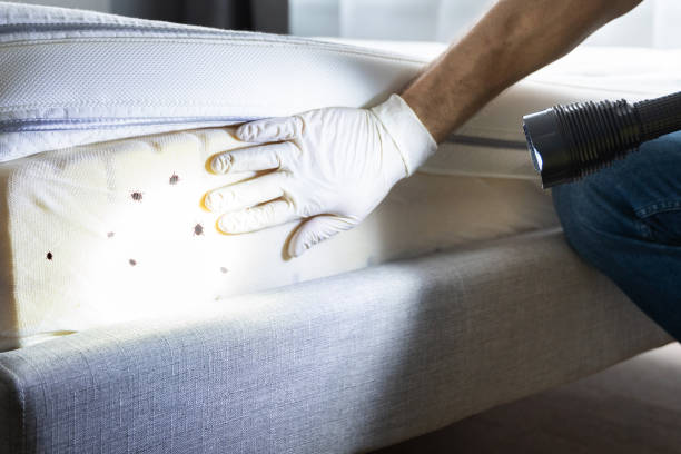 Best Best Pest Control Companies  in Howey In The Hills, FL