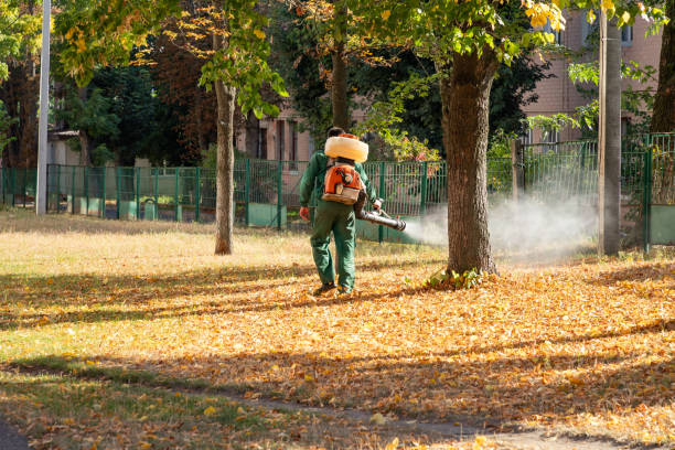 Best Affordable Pest Control Services  in Howey In The Hills, FL