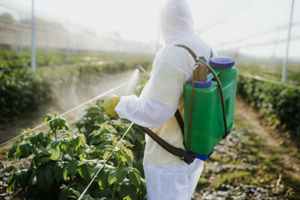 Best Residential Pest Control  in Howey In The Hills, FL